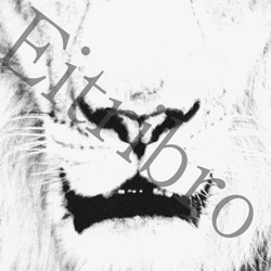 アートポスター/  White  lion　おしゃれインテリア・北欧、モノトーン好きの方に☆ 4枚目の画像