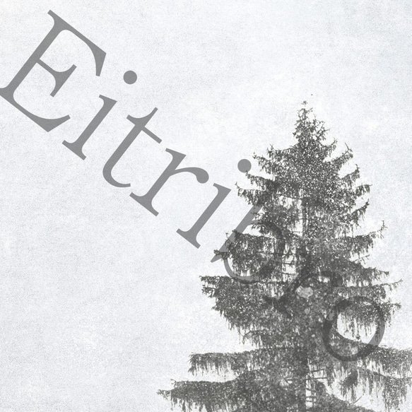 アートポスター/ Whitish tree　おしゃれインテリア・北欧、モノトーン好きの方に☆ 3枚目の画像