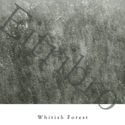 アートポスター/ Whitish forest　おしゃれインテリア・北欧、モノトーン好きの方に☆ 4枚目の画像