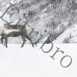 アートポスター/ Reindeer　おしゃれインテリア・北欧、モノトーン好きの方に☆ 4枚目の画像