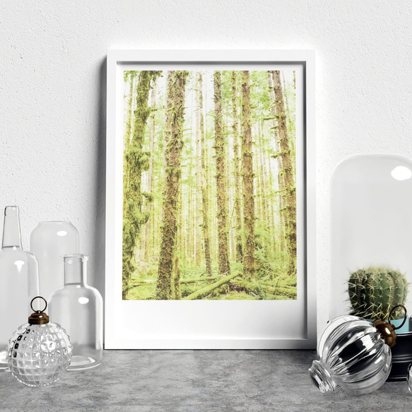 アートポスター / Shining forest  おしゃれインテリア・北欧、モノトーン好きの方に☆ 2枚目の画像