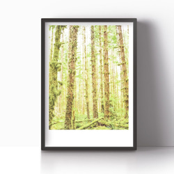 アートポスター / Shining forest  おしゃれインテリア・北欧、モノトーン好きの方に☆ 5枚目の画像