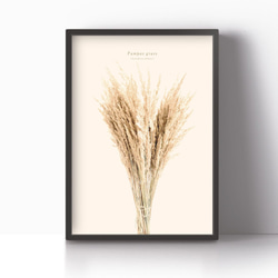 アートポスター / Pampas grass No.2 おしゃれインテリア・北欧、モノトーン好きの方に☆ 5枚目の画像