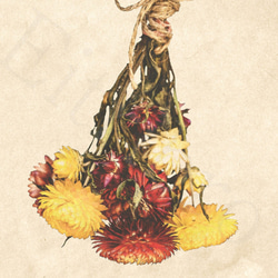 アートポスター/ Dried flowers no.1  おしゃれインテリア・北欧、モノトーン好きの方に☆ 3枚目の画像
