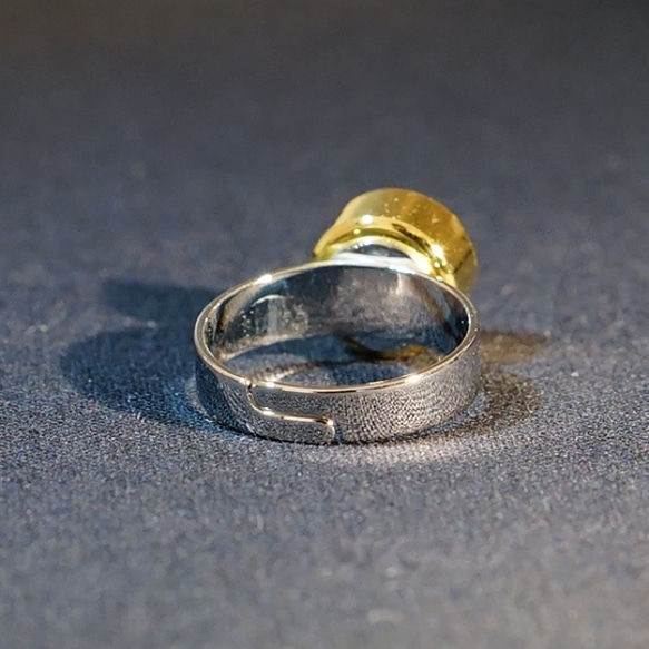 リングヴァリエーションズLONG　RV-L-2 5枚目の画像