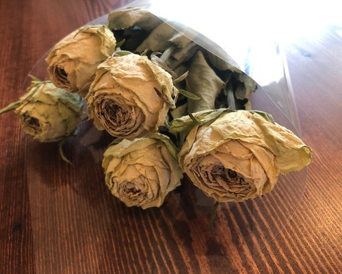 ドライフラワー 輪バラ（キョーミ） 5本セット その他素材 Smile-craft