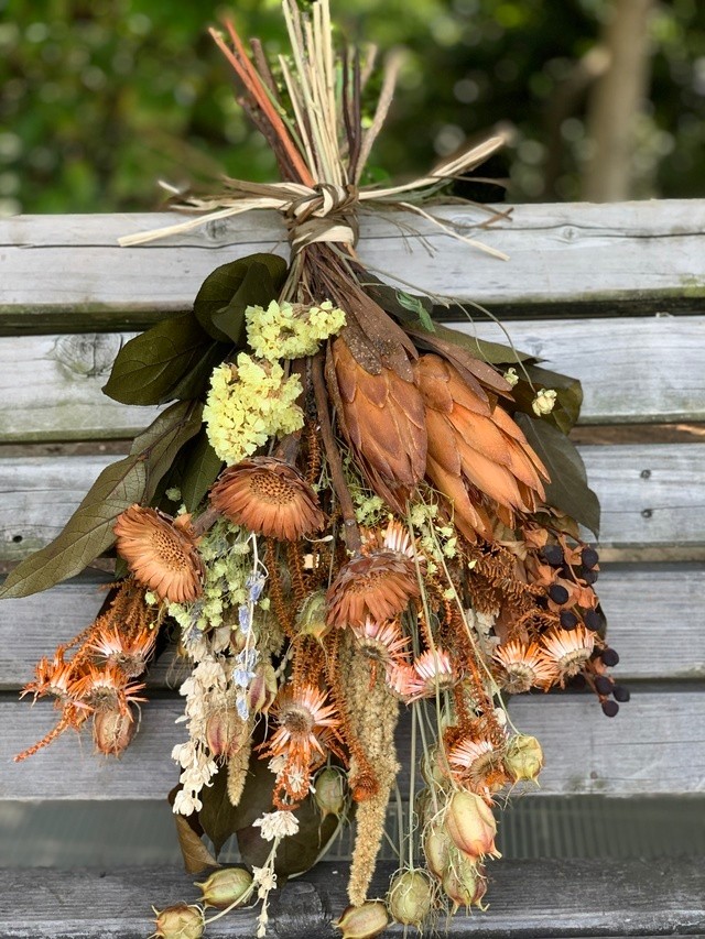 専用＊winter＊D. Nプロテア＆パンパス ドライフラワースワッグ 専用＊winter＊D. Nプロテア＆パンパス ドライフラワースワッグ