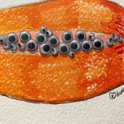 木瓜的種子眼睛/手繪 裝飾 珍珠 滴溜溜 水果 動感的作品 再利用 第3張的照片