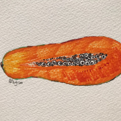 パパイヤシードアイ控えめなバージョン/手描きの装飾滴るフルーツスタンドアイスフルーツルーム 2枚目の画像