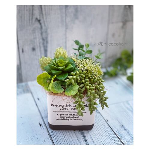 多肉植物 寄せ植え (男前フェイク多肉)