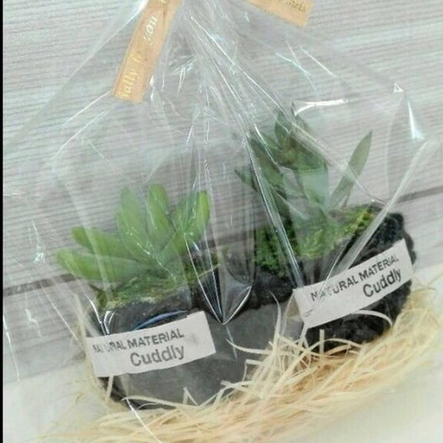 ✳受注制作✳麻紐コーヒーカップ❁﻿多肉植物アレンジ アートフラワー  