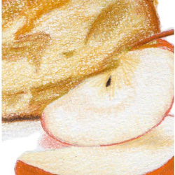 【選べる3枚】オリジナルポストカード＊至福のじかん＊りんごケーキ 3枚目の画像