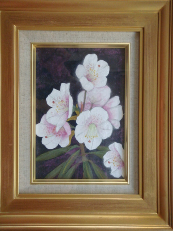 日本画石楠花西洋シャクナゲ岩絵具肉筆画額付き