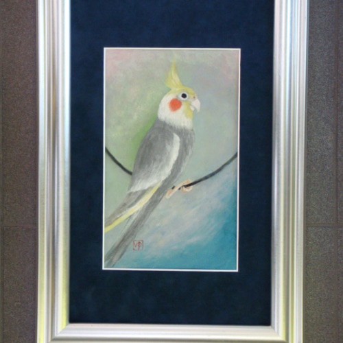 オウム　原画 日本画 原画 「オカメインコのぴーちゃん」 絵画 ゆうちゃん