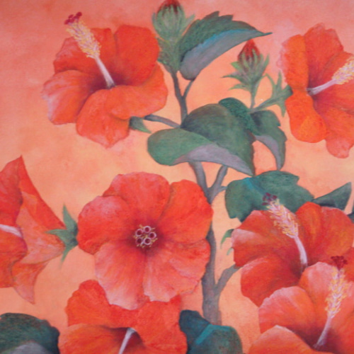 ハイビスカス。画家の作品、古典画水彩。