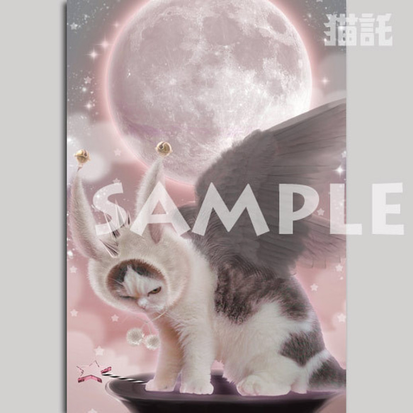 Nekotaku cat picture postcard 3-sheet set moon 第2張的照片