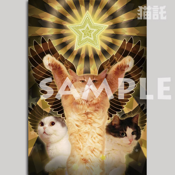 Nekotaku cat picture postcard 3-sheet set angel 第2張的照片