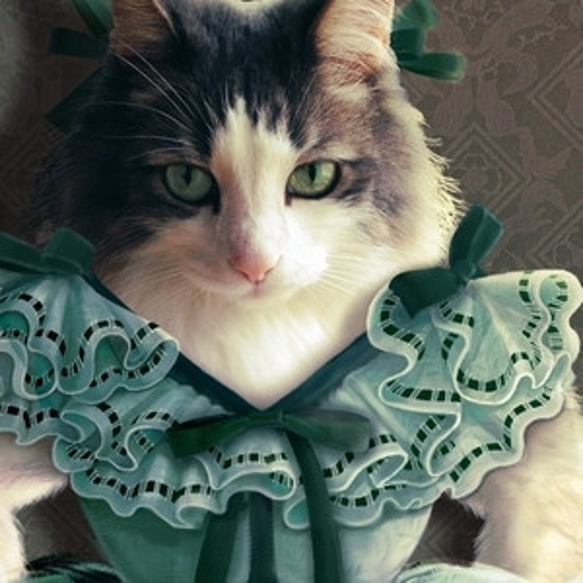 Nekotaku cat picture postcard 3-sheet set  Scarlett O'Hara 第1張的照片