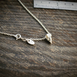 烏鴉頭骨 鎖骨鍊 CrowSkull Clavicle chain 第5張的照片