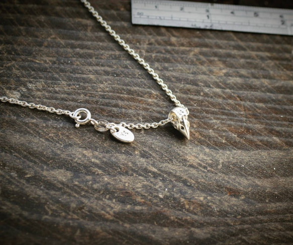 烏鴉頭骨 鎖骨鍊 CrowSkull Clavicle chain 第5張的照片