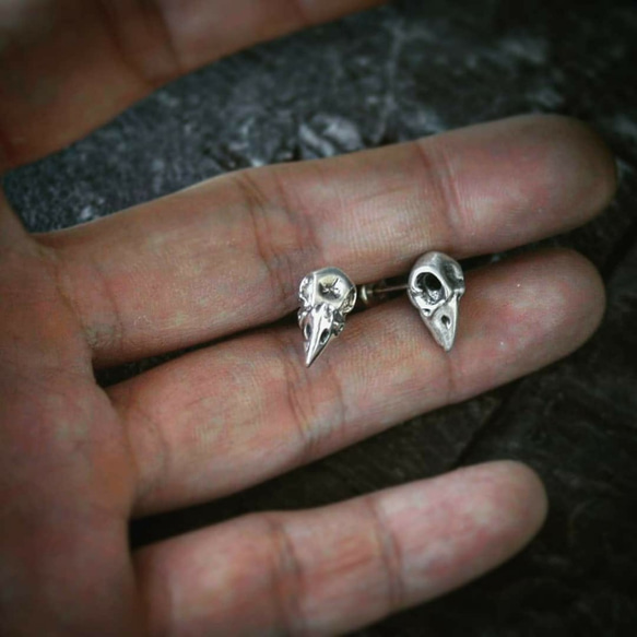 烏鴉頭骨 純銀耳環 CrowSkull Silver earring 第3張的照片