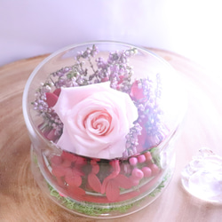 akira flowerage_溫柔禮讚玫瑰清新花禮_永生不凋乾燥花 第3張的照片