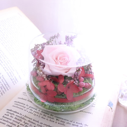 akira flowerage_溫柔禮讚玫瑰清新花禮_永生不凋乾燥花 第4張的照片