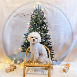 再版：スノードームマット クリスマスタペストリーに♪簡単おうちスタジオ 　　クリスマス飾り 3枚目の画像