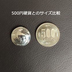 バッファロー５セントコンチョ　ネジ式　Φ約21mm　ジャンパーホック(大)対応 2枚目の画像