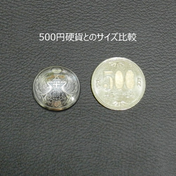 【古銭】鳳凰50銭銀貨コンチョ（いぶし）　ネジ式　Φ約23mm　ジャンパーホック(大)対応 2枚目の画像