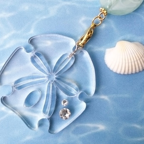 【上質】極小サイズ　スカシカシパン　sand dollar　タコノマクラ 250px-Astriclypeus_mannii_(