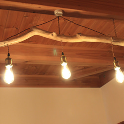 流木の照明　３灯　LEDエジソンランプ付き　④ 1枚目の画像
