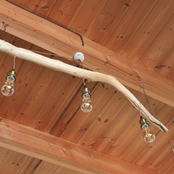 流木の照明　３灯　LEDエジソンランプ付き　④ 5枚目の画像
