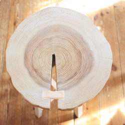天然木　杉の切り株　サイドテーブル　スツール　一点もの 4枚目の画像