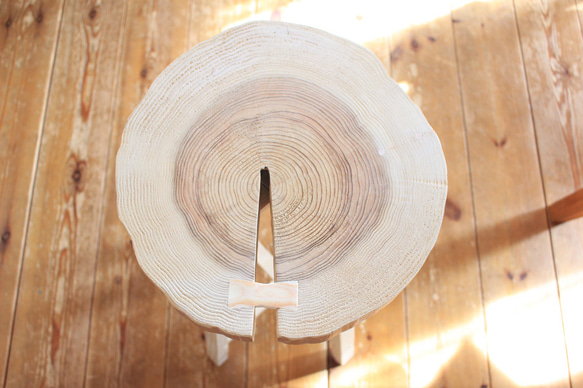 天然木　杉の切り株　サイドテーブル　スツール　一点もの 4枚目の画像