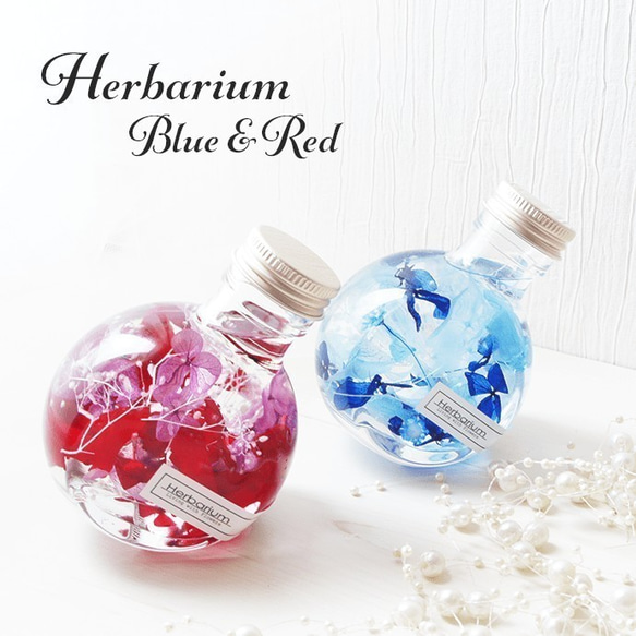 ハーバリウムミニサイズコロンと可愛いねこ瓶タイプ【ブルー】 1枚目の画像