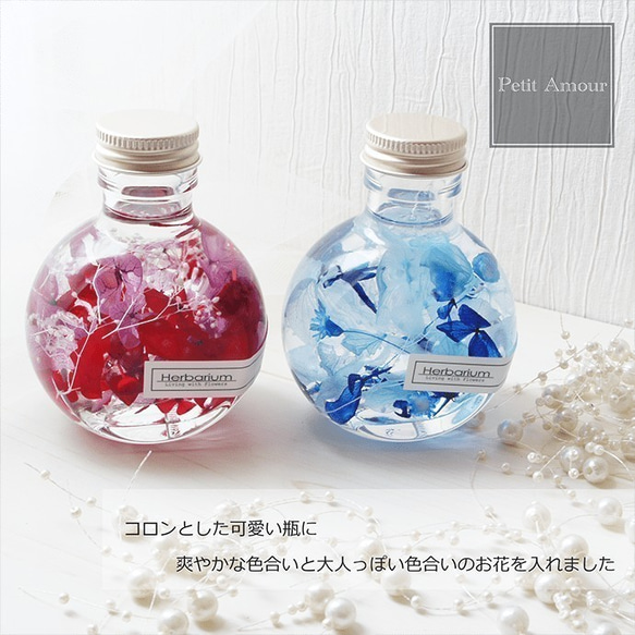 ハーバリウムミニサイズコロンと可愛いねこ瓶タイプ【ブルー】 3枚目の画像