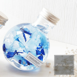 ハーバリウムミニサイズコロンと可愛いねこ瓶タイプ【ブルー】 4枚目の画像