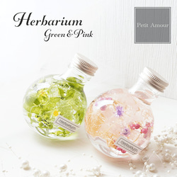 ハーバリウムミニサイズコロンと可愛いねこ瓶タイプ【グリーン】 ハー