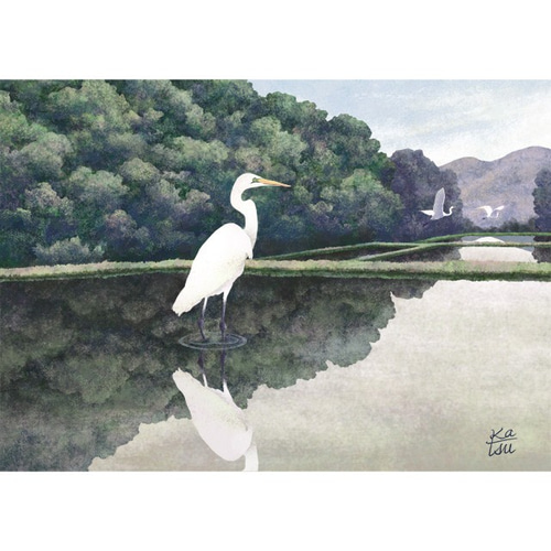 田植え前」田んぼ 水鏡 白鷺 イラスト kura-katsu 通販 10428773
