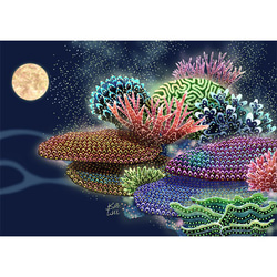 「サンゴの産卵」　石垣島　満月　　イラスト　　 1枚目の画像