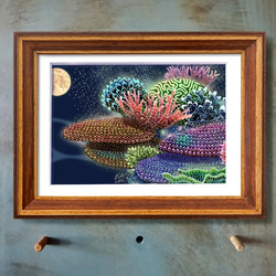 「サンゴの産卵」　石垣島　満月　　イラスト　　 3枚目の画像