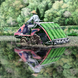 「田植え」水鏡　田植え機　瑞穂の国　イラスト 4枚目の画像