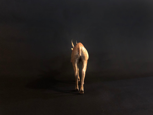 高鼻羚羊 擬真動物模型 1/10 第4張的照片