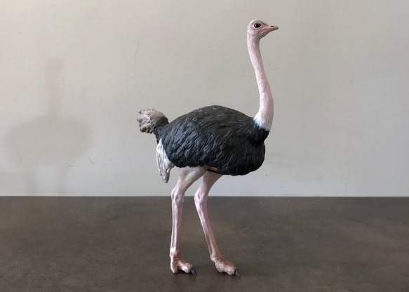 ダチョウのリアルな動物モデル1/10 立体・オブジェ 蹤影 通販｜Creema 