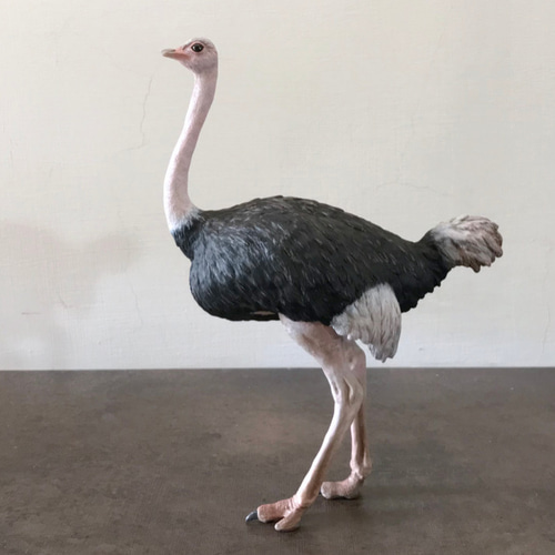 ダチョウのリアルな動物モデル1/10 立体・オブジェ 蹤影 通販 6298442