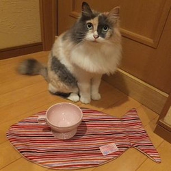 猫ちゃん用・お魚ランチョン（ボーダー黄） 3枚目の画像