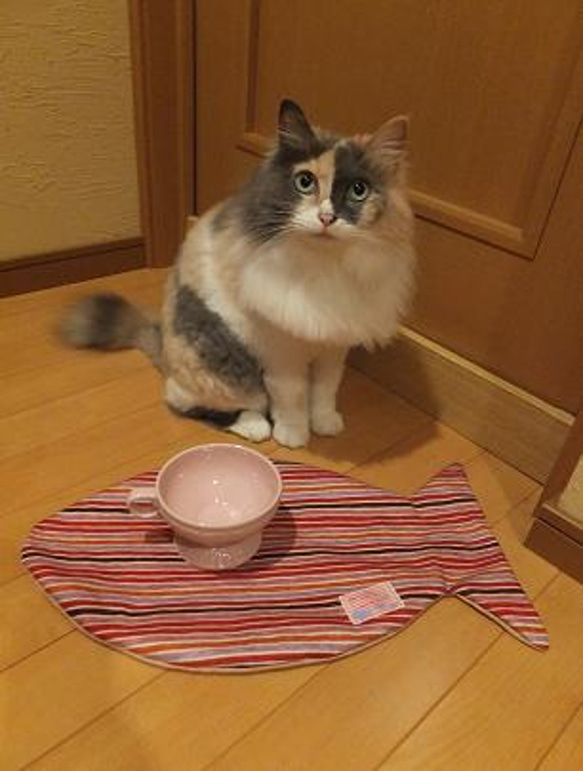 猫ちゃん用・お魚ランチョン（ボーダー黄） 3枚目の画像