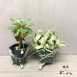 陶芸作家 安在健一　檜窯別注当店オリジナル陶器鉢『轟』・・・青色 　☘多肉植物　☘塊根植物　☘観葉植物 7枚目の画像