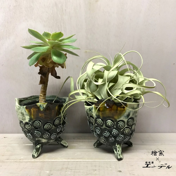 陶芸作家 安在健一　檜窯別注当店オリジナル陶器鉢『轟』・・・茶色　☘多肉植物　☘塊根植物　☘観葉植物 7枚目の画像